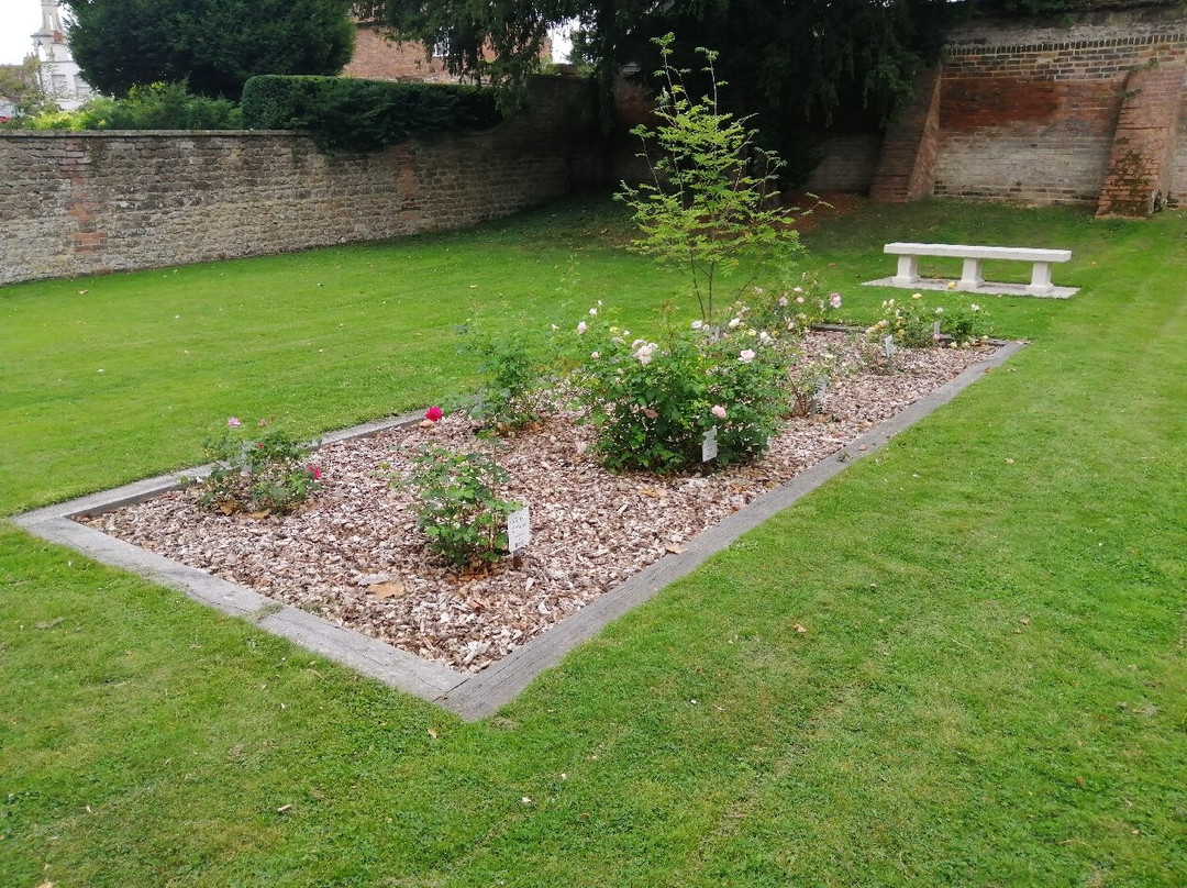 Wallingford Castle Gardens & Meadows景点图片