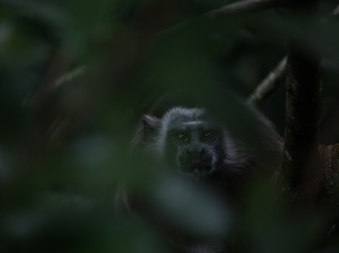 Reserva Natural Cueva de Morgan San Rafael主图