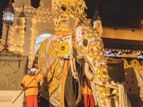 Sri Lanka Driver Car Rent-科伦坡必去景点