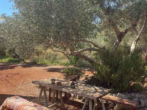 The Olive Farm-Apokoronas必去景点