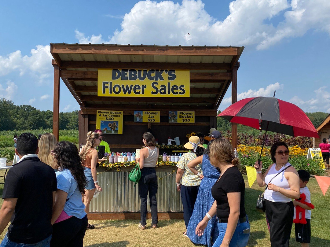DeBuck's Corn Maze and Pumpkin Patch-Belleville必去景点