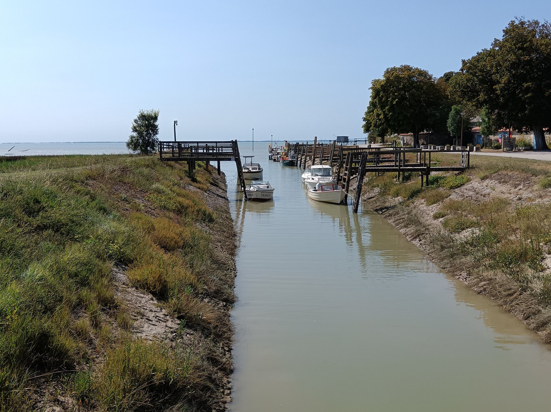 Village Fortifié De Talmont Sur Gironde景点图片