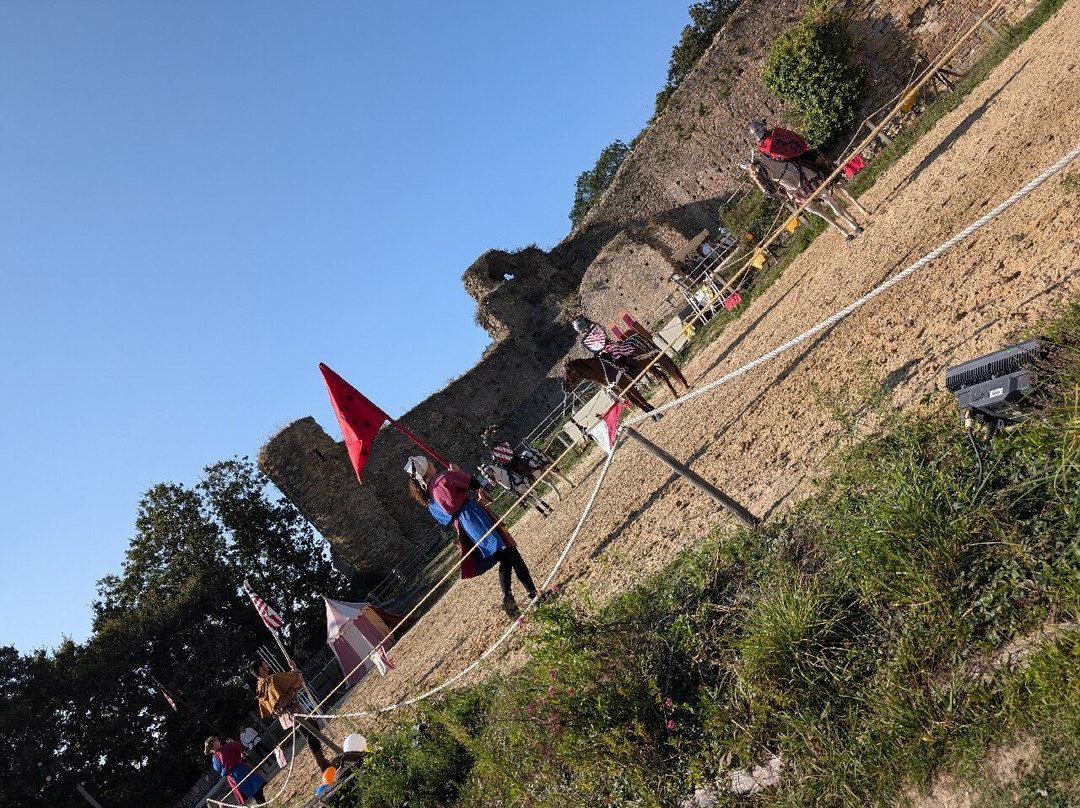 Château de Talmont景点图片