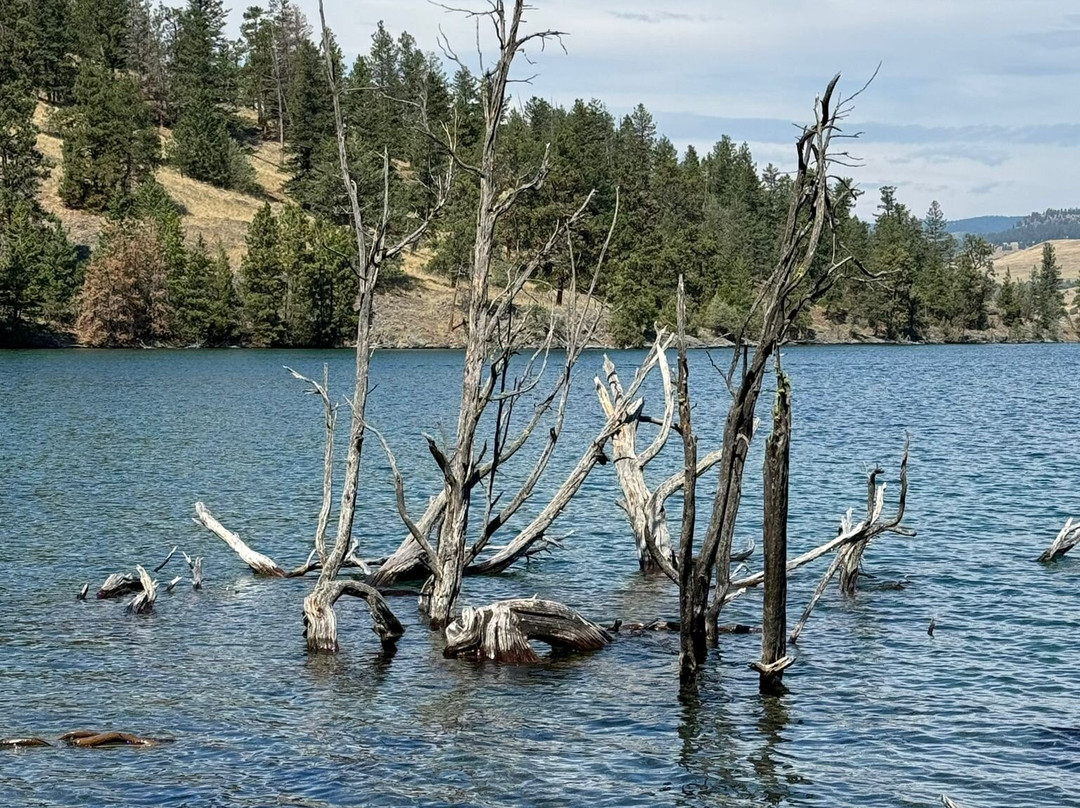 Boat Rentals and Rides on Flathead Lake景点图片