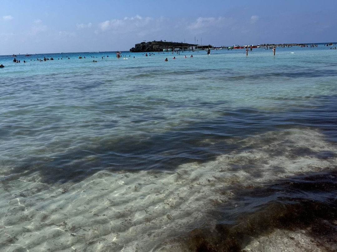 Nissi Park Hotel主图