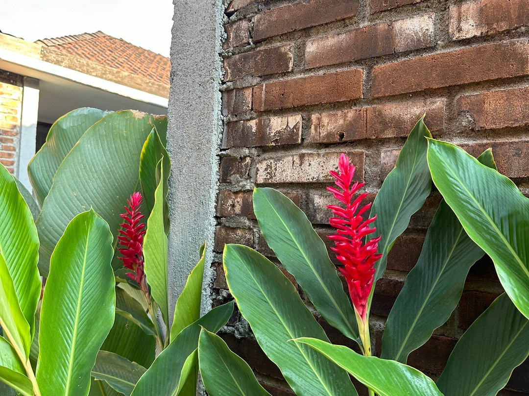 Shankara Borobudur主图