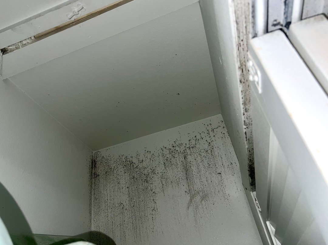 Sea Oats Beach Club主图