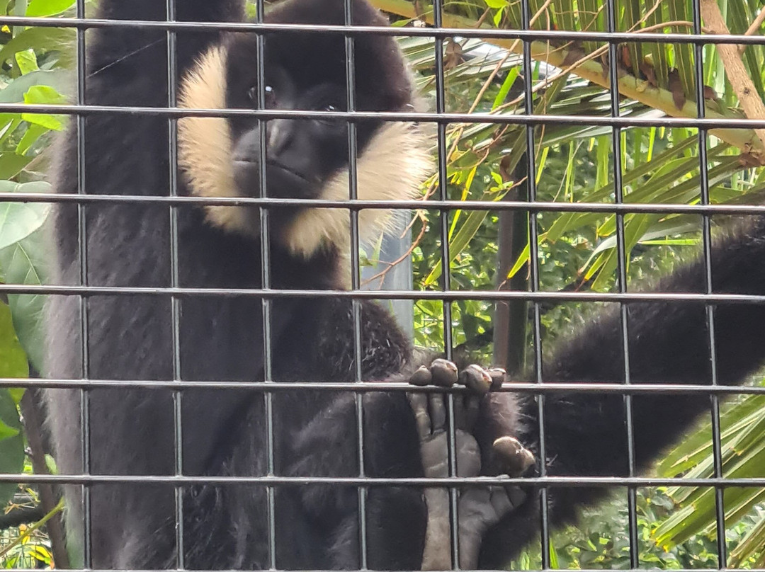 Rockhampton Zoo-罗克汉普顿必去景点
