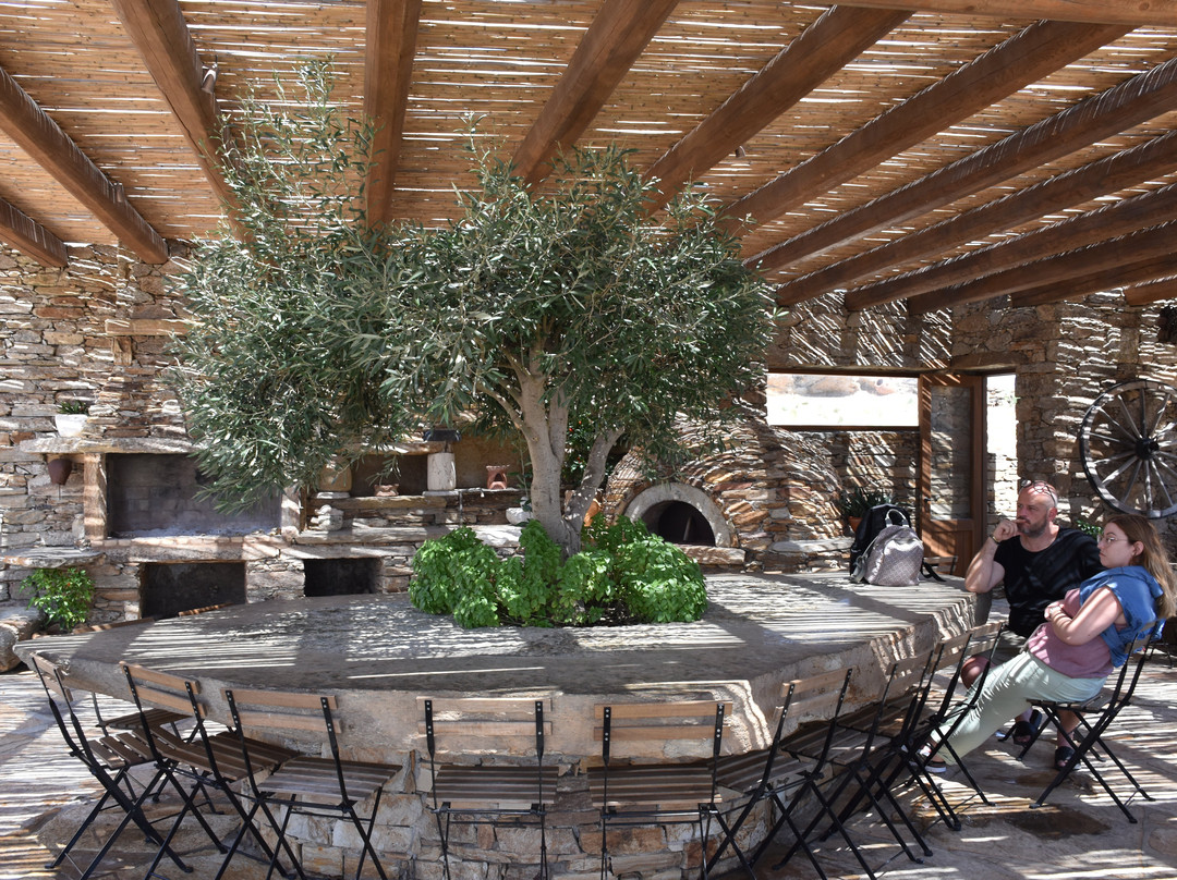 Diaseli Traditional Cheesery-埃欧斯岛必去景点