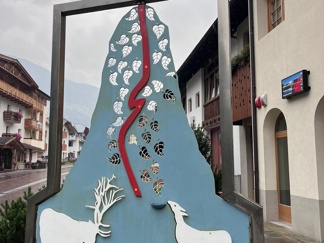 Centro Visitatori Pejo景点图片