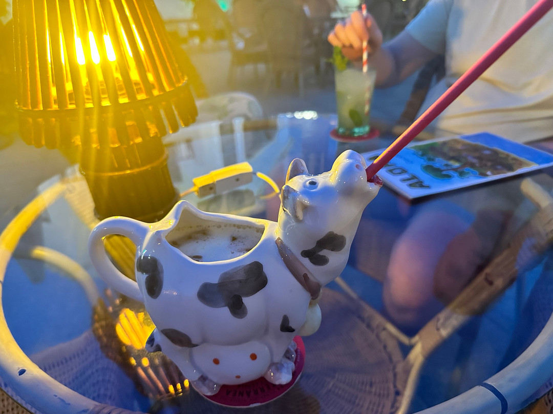 Aloha Cocktail-Bar-Cala en Porter必去景点