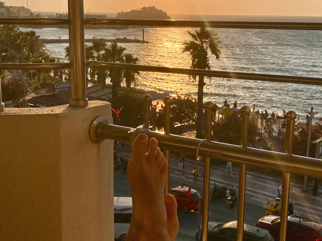 德里奇酒店主图