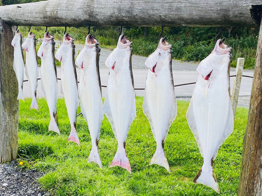 Fishology Alaska-索尔多特纳必去景点