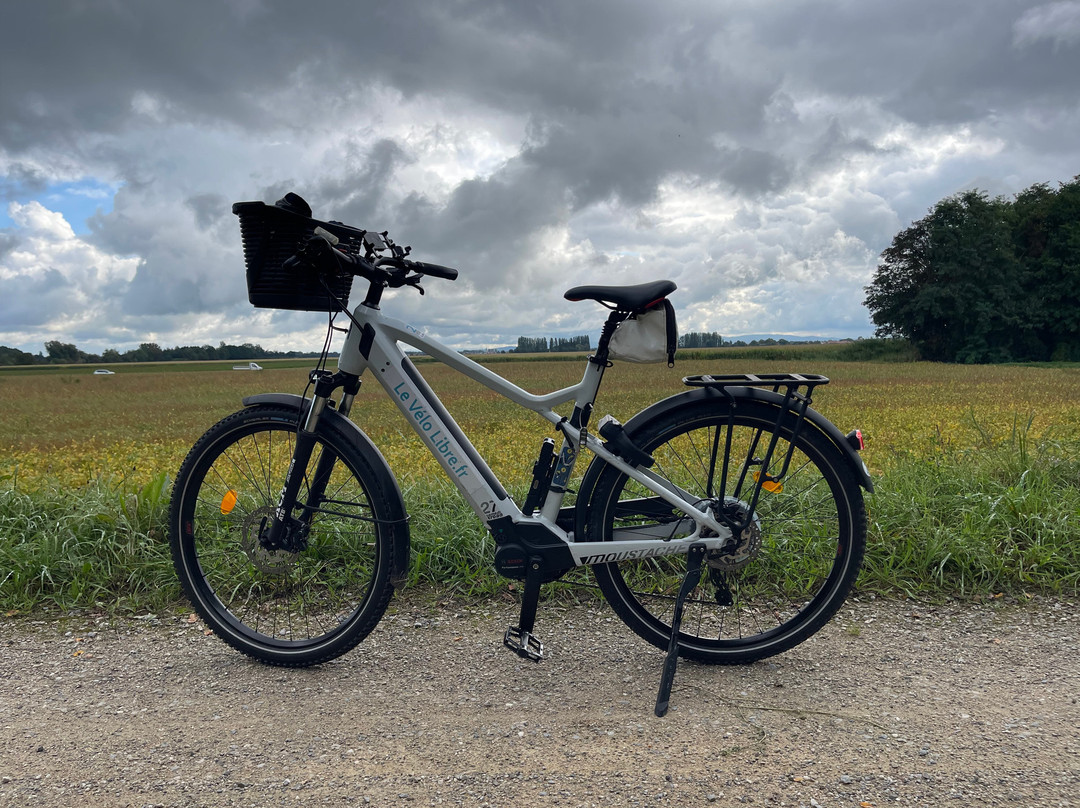 Le Vélo Libre - Colmar Petite Venise-科尔马必去景点