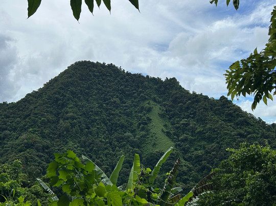 Isla Caribe-庞塞必去景点