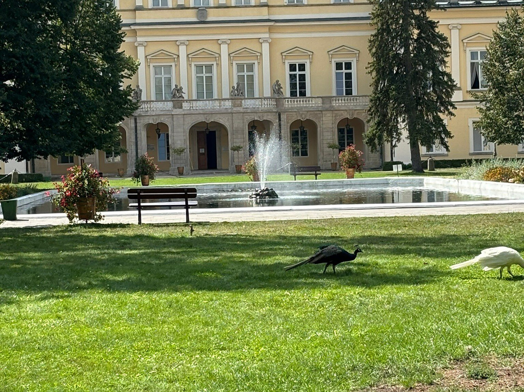 Czartoryski Palace - Pulawy景点图片