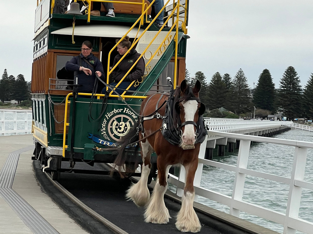 Victor Harbor Mainstreet Precinct-维克多港必去景点