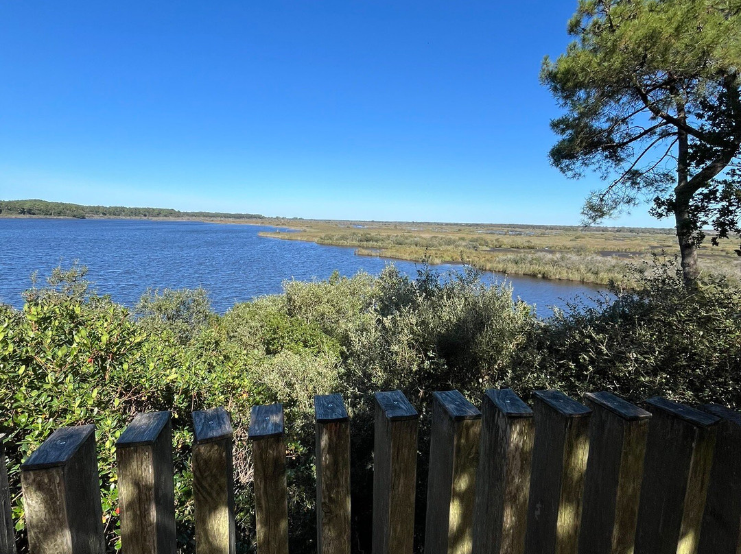Réserve Naturelle De l'Etang De Cousseau景点图片