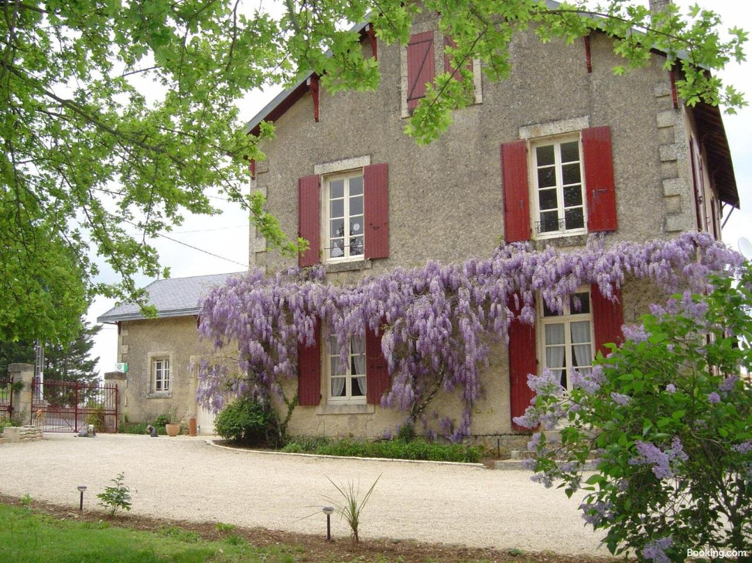 Les Vieilles Vignes主图