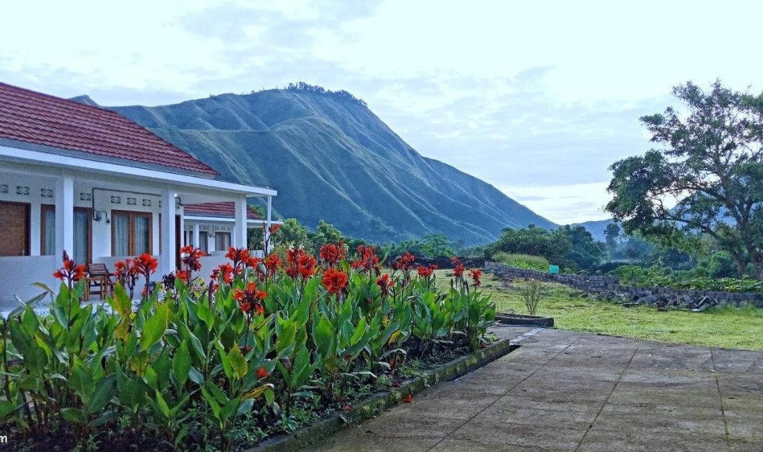 Rinjani Hill Hotel主图