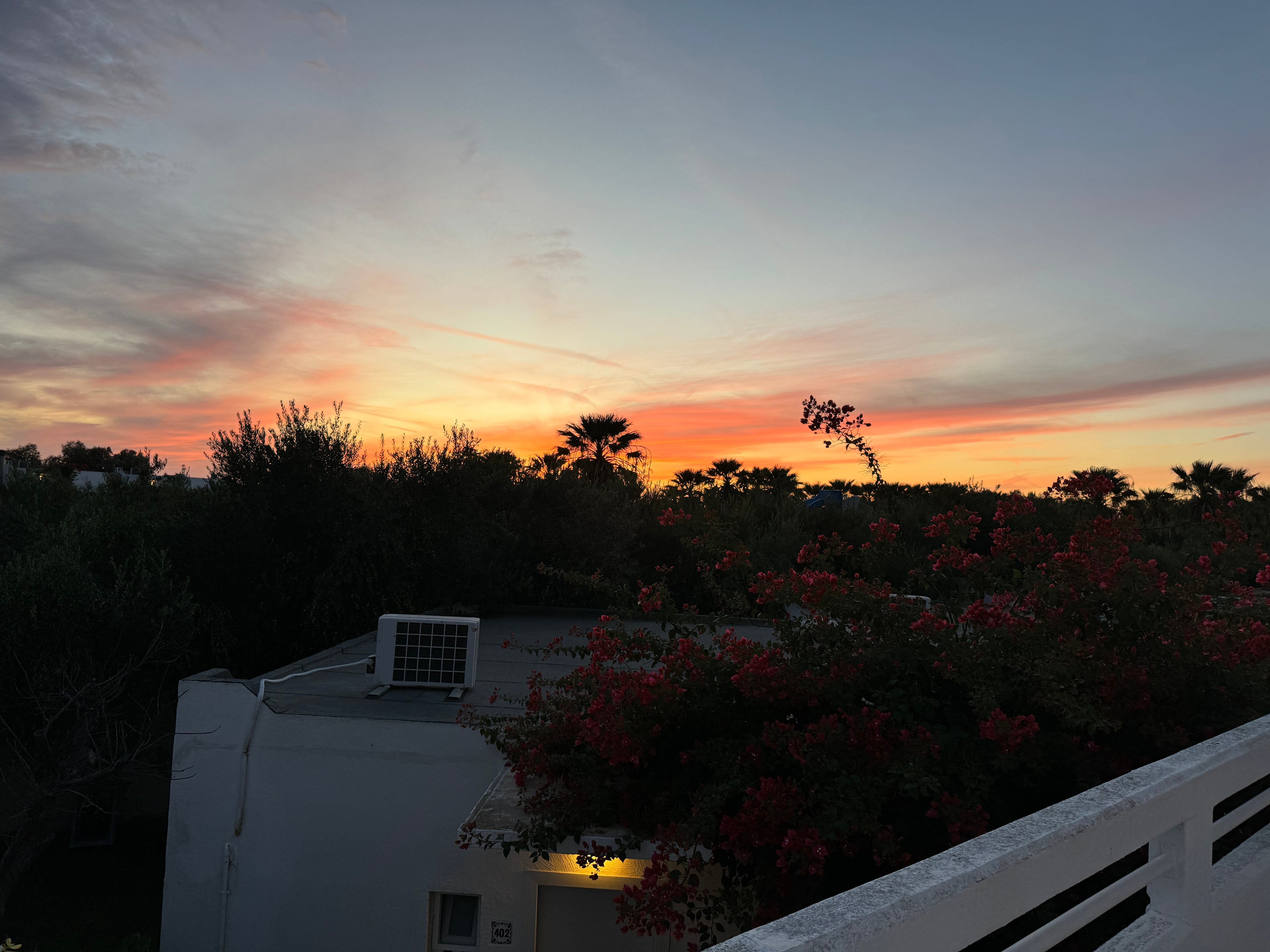 Alex Beach Hotel-官方