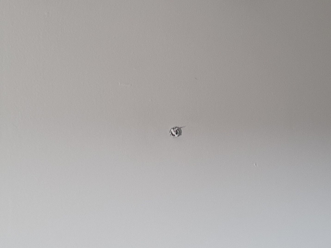 德加迪恩酒店主图