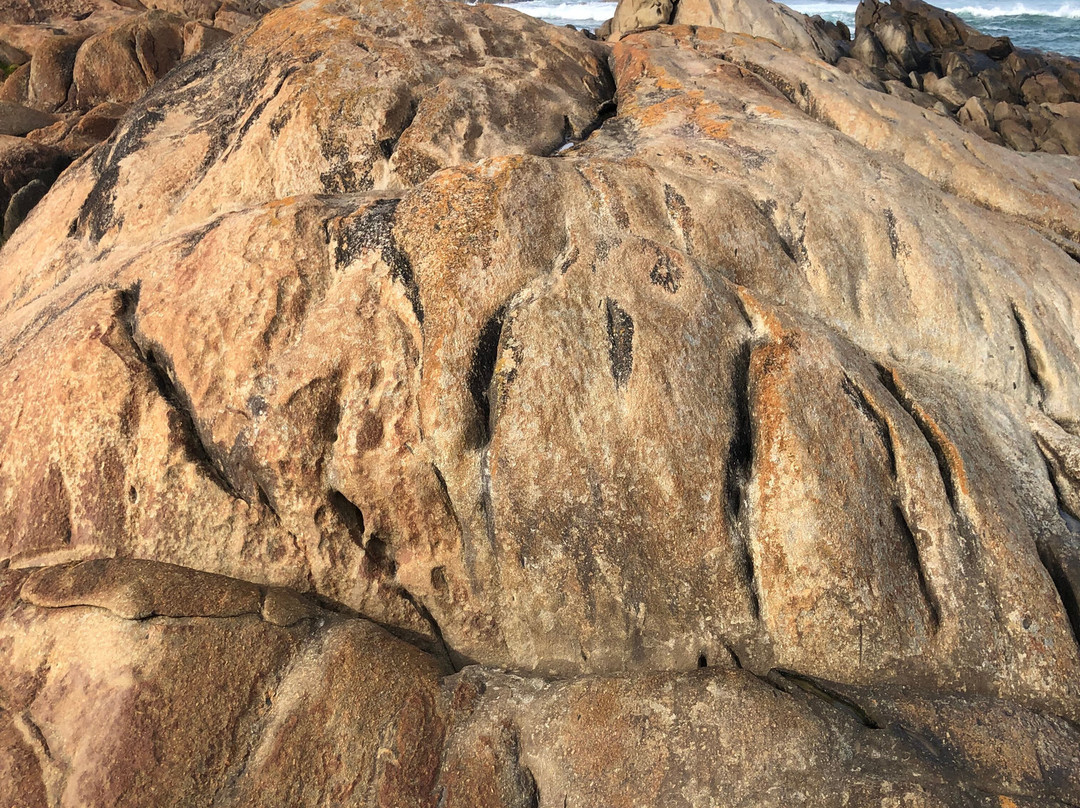Salmon Rocks景点图片
