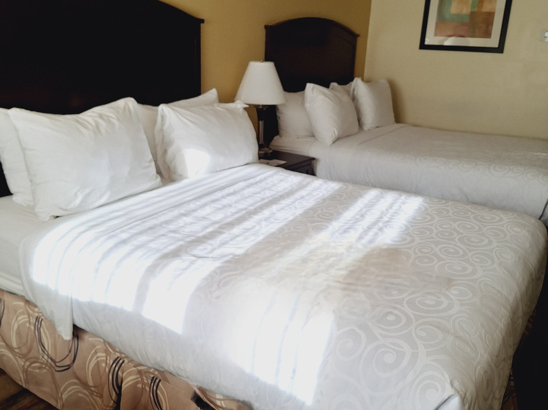 Best Western Plus Burnaby Hotel主图