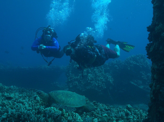 In2Scuba Diving Maui Dive Co.-拉海纳必去景点