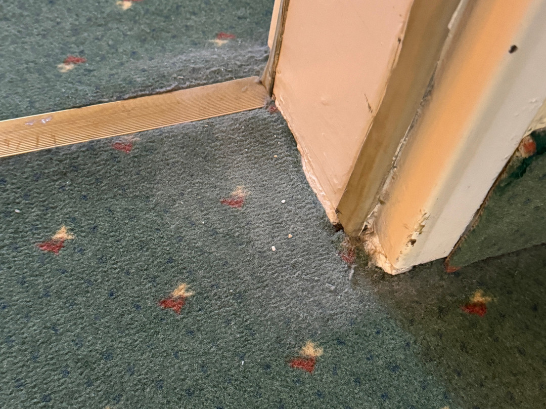 卡塞尔温德姆花园酒店主图