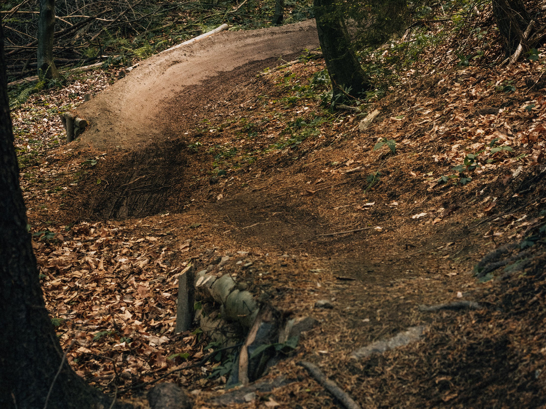 Bike Park Pohorje Maribor-马里博尔必去景点