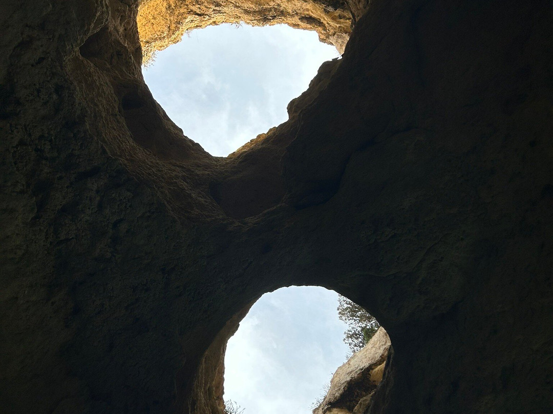 Wildwatch Algarve景点图片