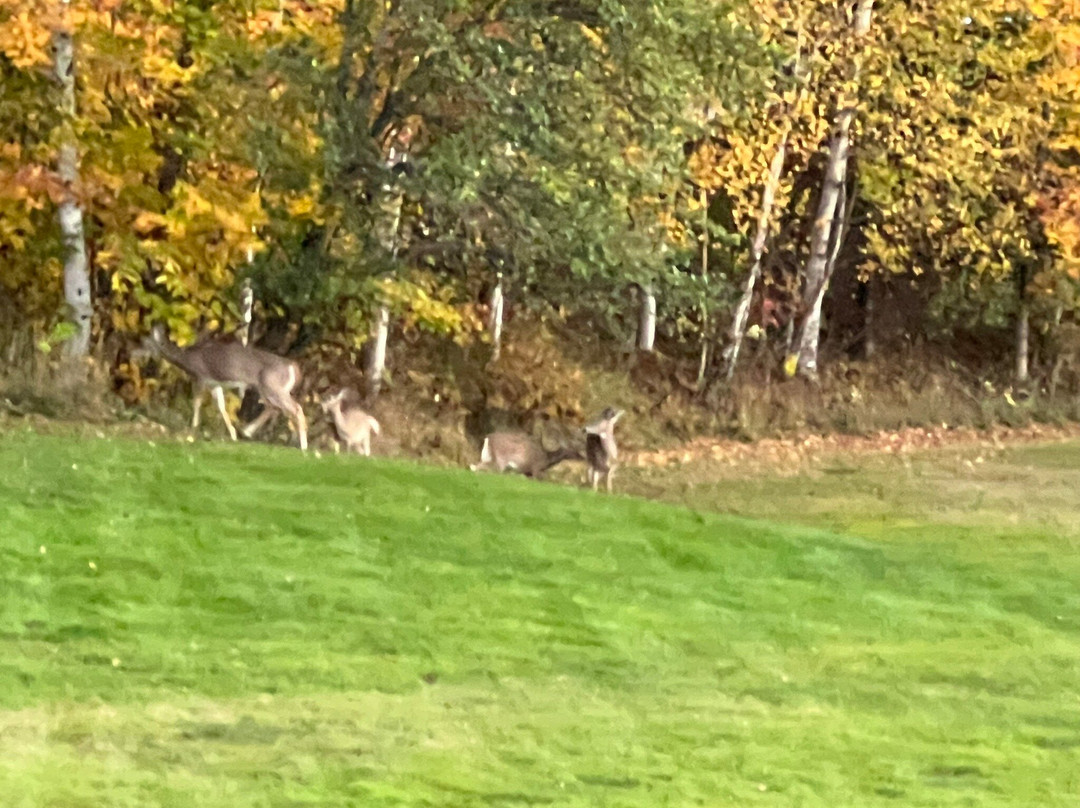 Pleasant Street Inn Bed & Breakfast主图