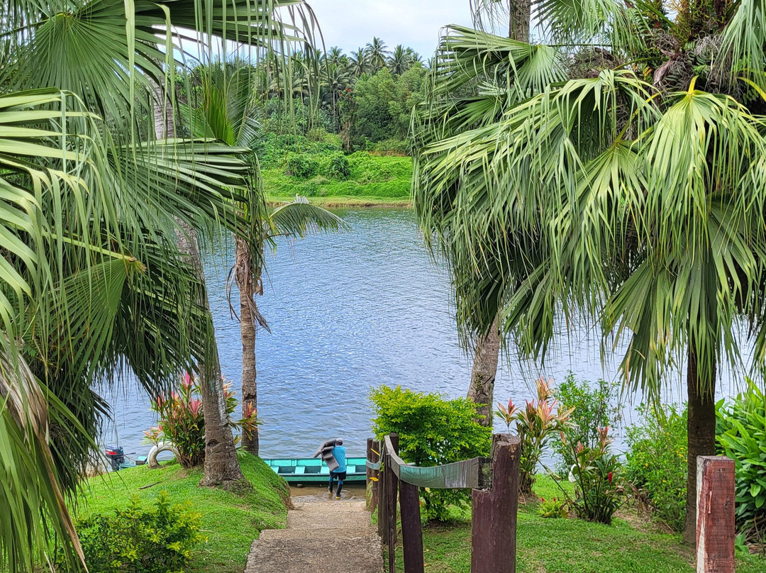 The Jewel Of Fiji - Day Tours景点图片