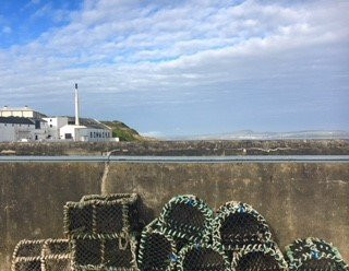 The Harbour Inn主图