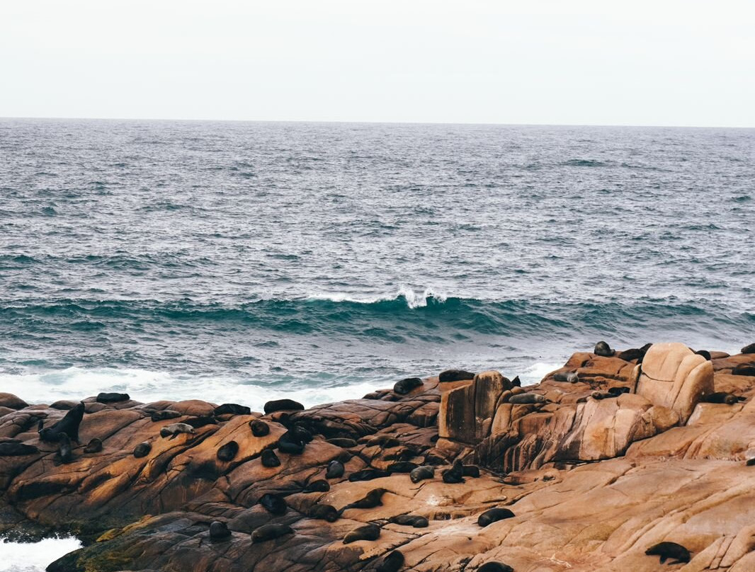 Parque Nacional de Cabo Polonio-Cabo Polonio必去景点