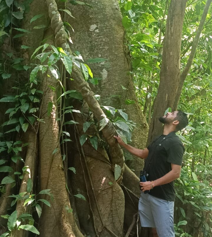 Green Eco Park CR-El Tanque必去景点