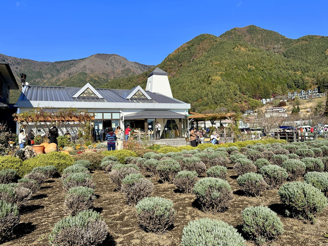 Kawaguchiko Natural Loving Centre景点图片
