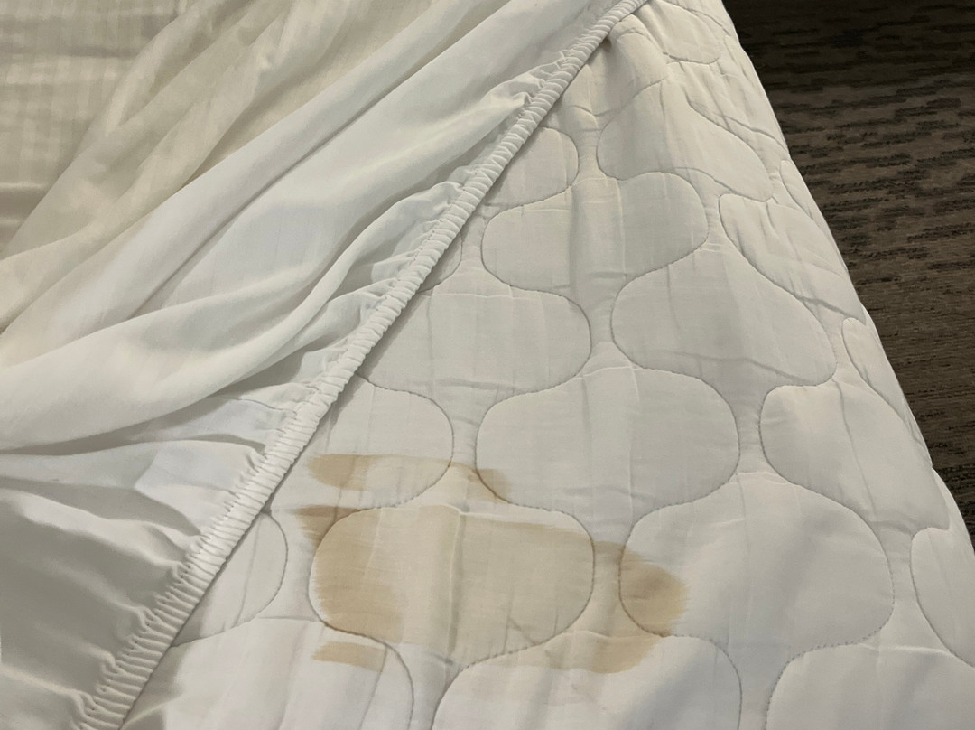 La Quinta Inn & Suites By Wyndham Erie主图