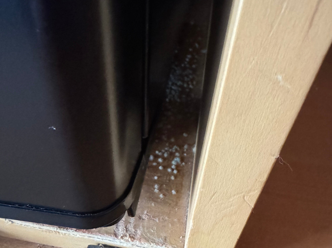 The Bertram Inn & Conference Center, Trademark Collection Hotel主图