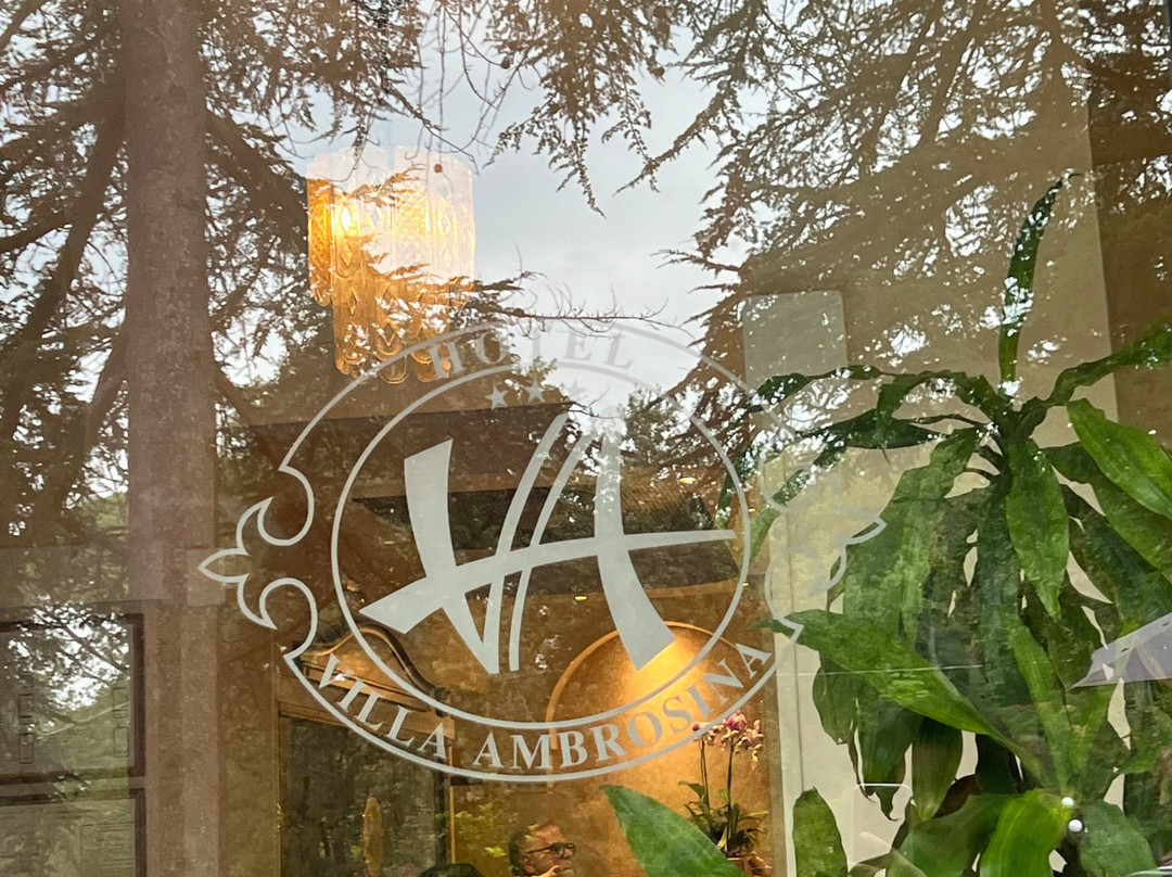 Villa Ambrosina主图