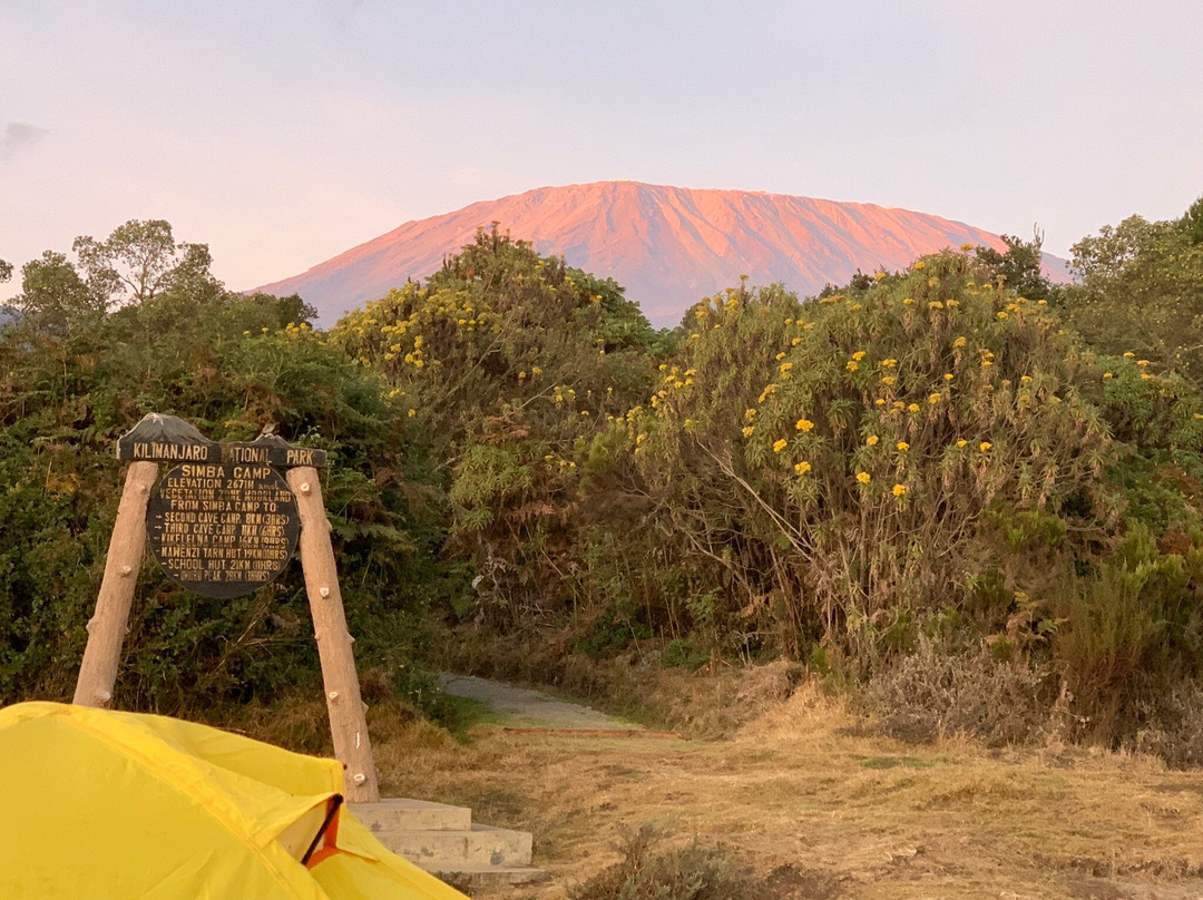 Prosus Climbs & Safaris-莫西必去景点