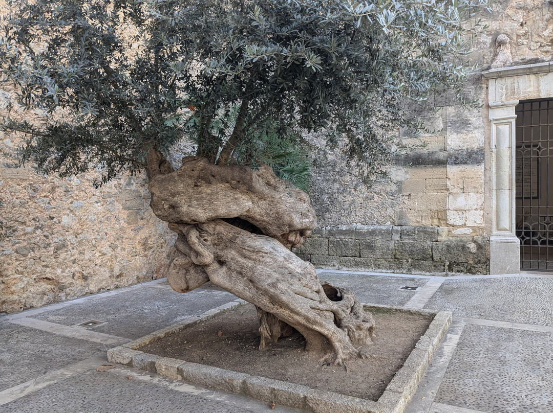 Es 365 Escalons-Pollenca必去景点