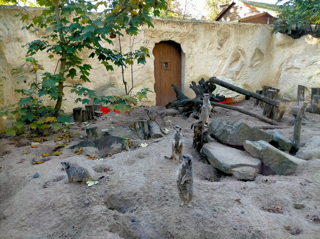 Zoo de Lille-里尔必去景点