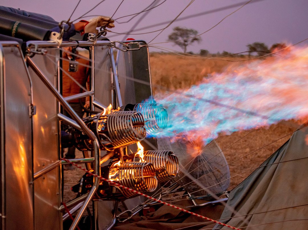 Shine Balloon Safaris-塞伦盖蒂国家公园必去景点