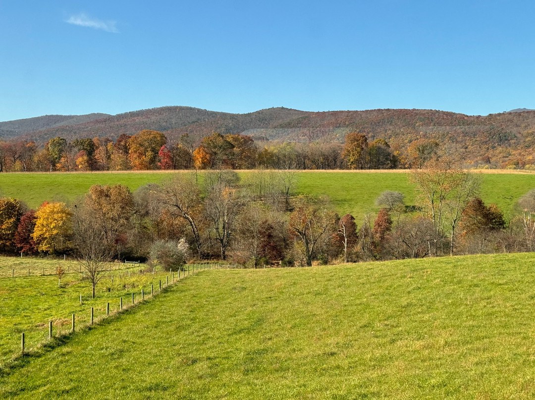 Virginia Scenic Railway景点图片