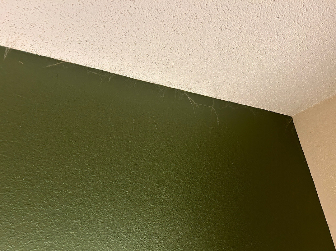 Extended Stay America - Nashua - Manchester主图