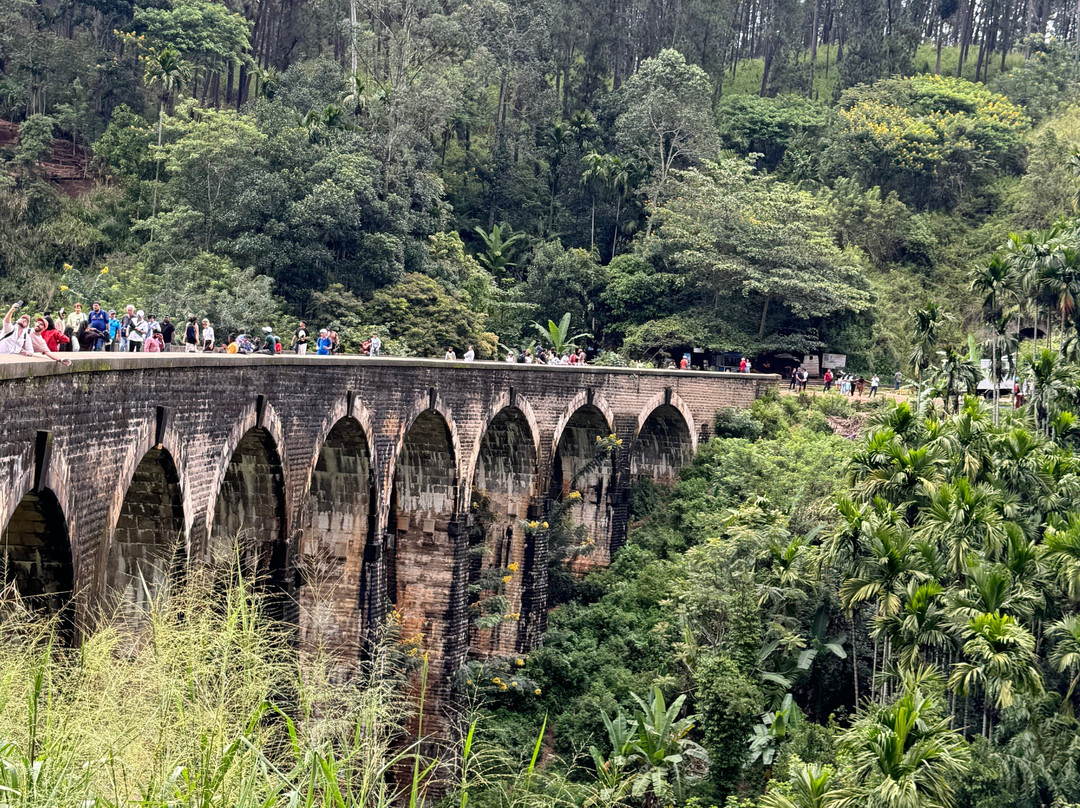 Bentota Lucky Tours & Travels景点图片