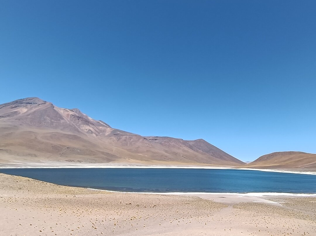 Lagunas Altiplanicas-圣佩德罗-德阿塔卡马必去景点