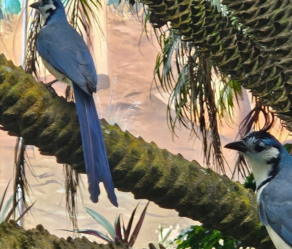 Esteban Great Adventures-利比里亚必去景点